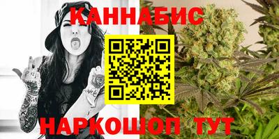 гидра Кингисепп