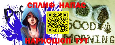гидра Кингисепп