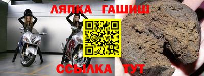 гидра Кингисепп