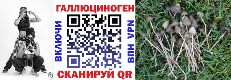 Псилоцибиновые грибы ЛСД Сафоново