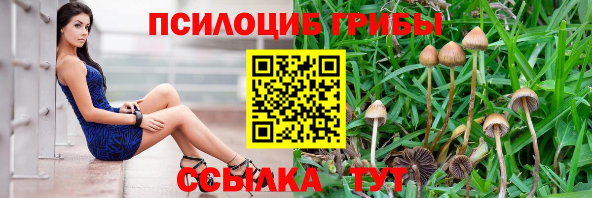 Сафоново  Галлюциногенные грибы ЛСД  Вход с VPN 